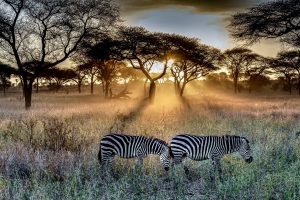 We Are Victoria Falls and Cape Town Tourism Create the Ultimate African Adventure