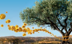 First L’Occitane Spa to be opened in UK