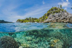 Conservationists in Phuket are trying to stop further coral reef damage