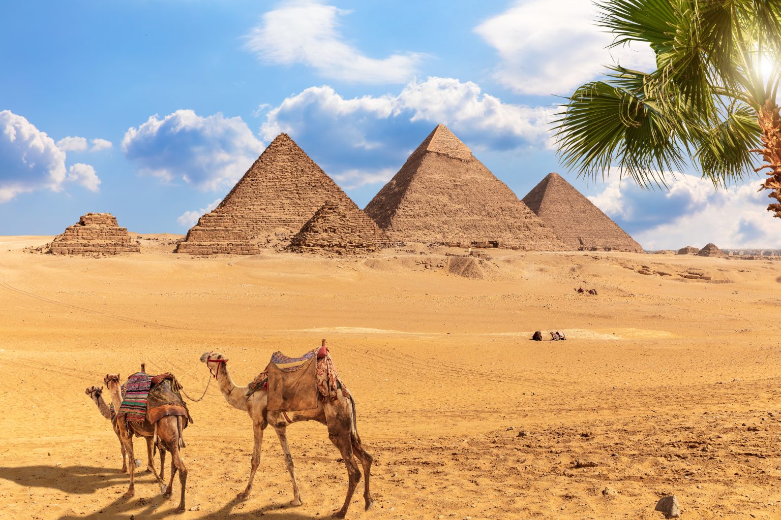 Cancellations Are On The Rise Despite Egypt’s Peak Year In Tourism