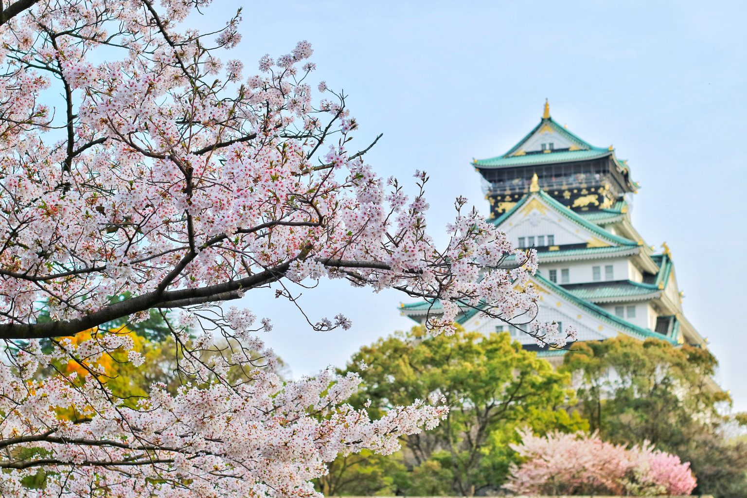 Japan set to have a very slow tourism recovery start