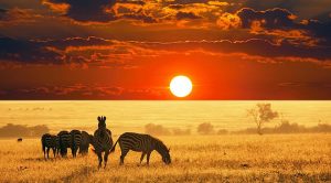 Kenya’s tourism industry loses ground