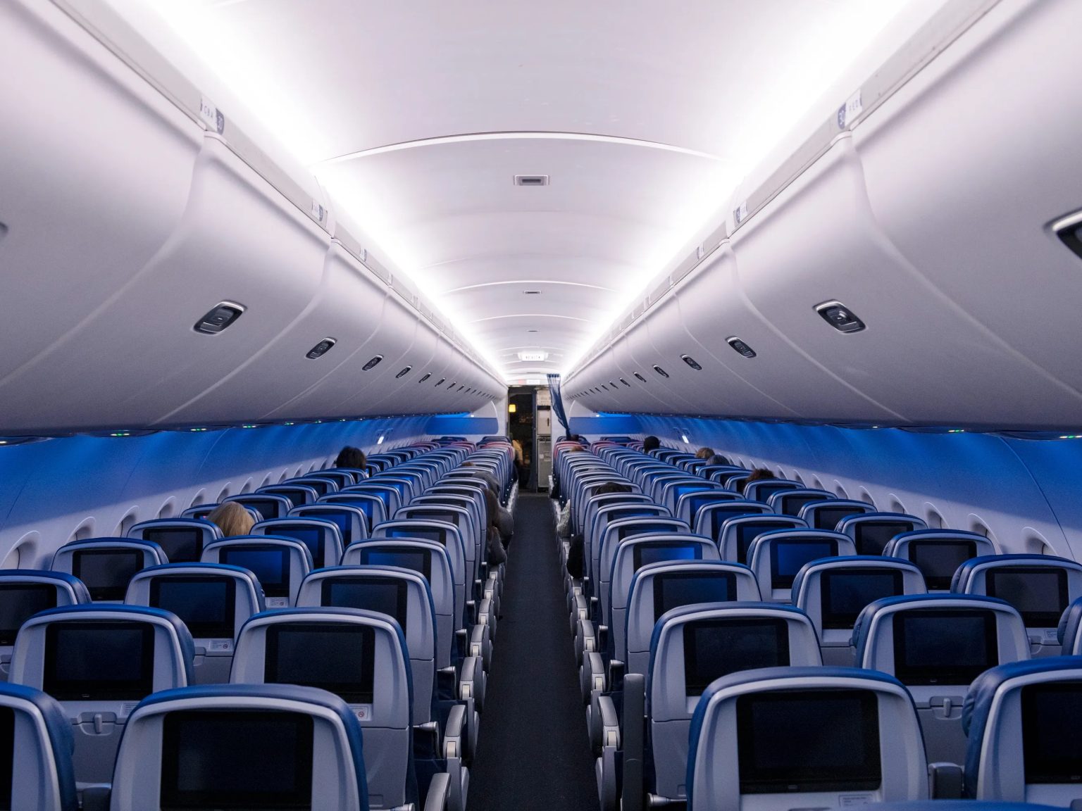 Delta Flight Late Due To Bee Colony