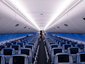 Delta Flight Late Due To Bee Colony