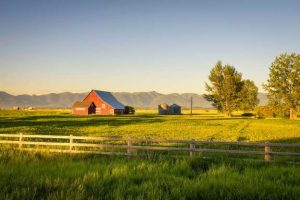 Rural areas are the ones raising the obesity rates, not the city lifestyle