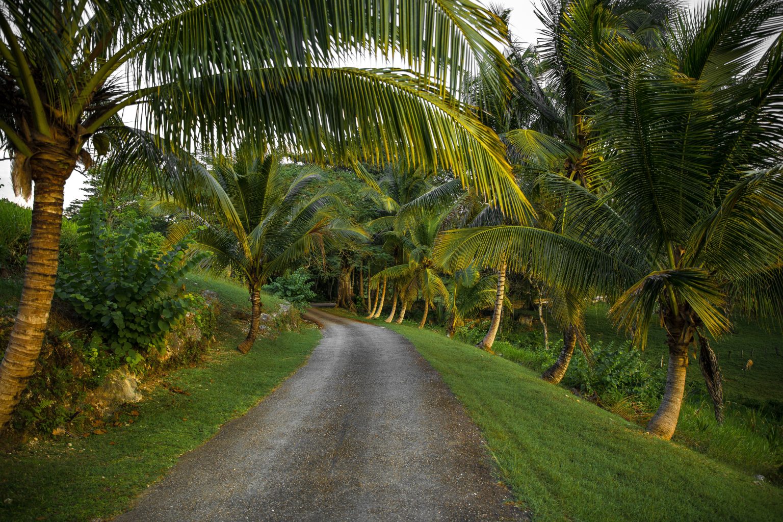 British Tourists Now Flock To Jamaica
