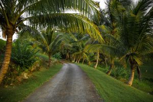 British Tourists Now Flock To Jamaica