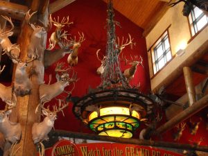 Global community rejects trophy hunting