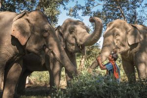 Minor International Leads in Sustainability, Ranked Top Hotel Operator by S&P Global