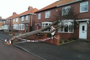 UK overwhelmed by 90mph raging winds