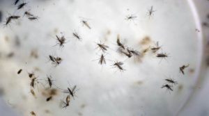 CDC issues travel warning for 11 Southeast Asian countries