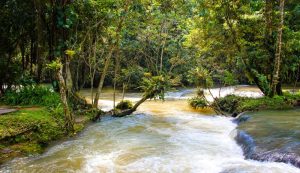 Jamaica aims to boost high-end tourism