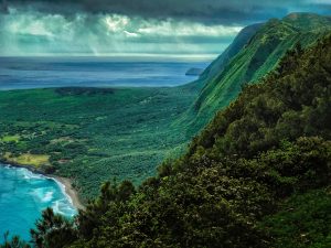Hawaii Hotels Drop Rates to Maintain High Occupancy