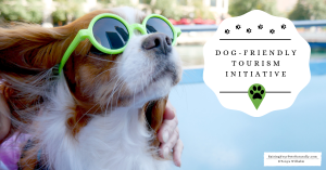 5 Unique Must-See Dog-Friendly Attractions in the Midwest