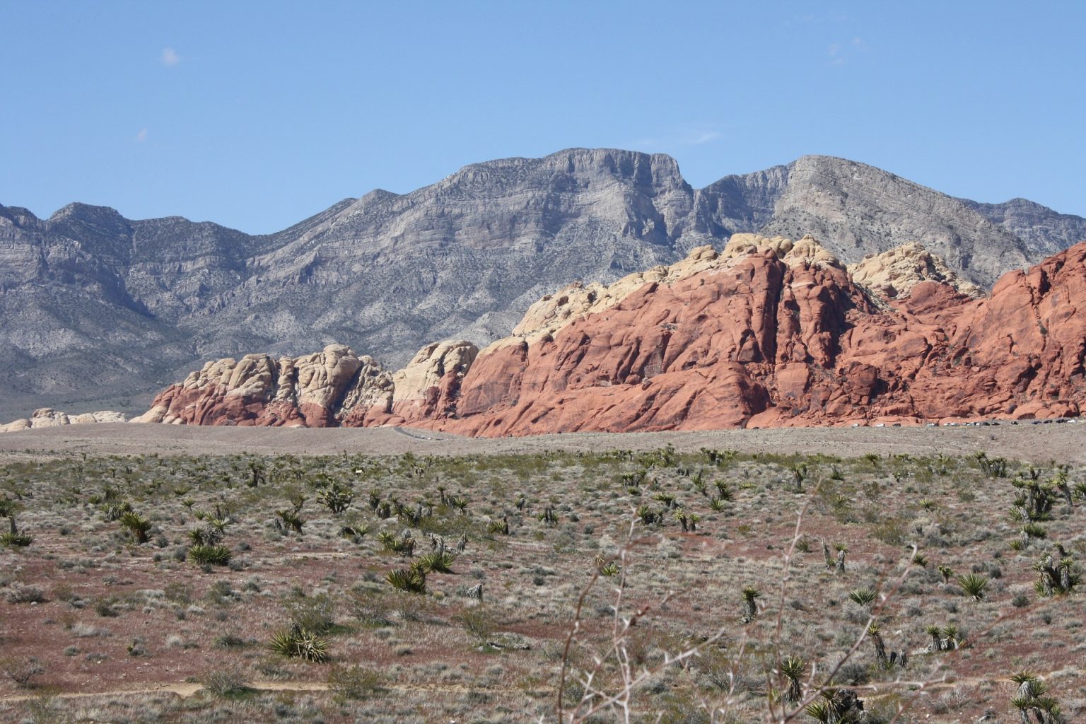 Las Vegas Believes in Ecology