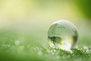 Travel impacted by a “more environmentally conscious mindset”