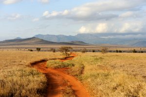 Kenya to Eliminate Visa Requirements for African Travelers