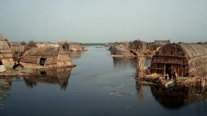 Iraq’s marshes are now part of the UNESCO World Heritage