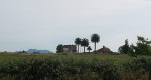 St Helena to become Africa-South America stepping stone