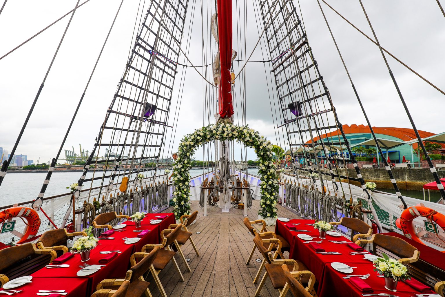 Singapore Now Offers Cat-Friendly High-End Cruises