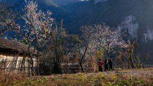 C-VIETNAM: Reliable Local Travel Partner For Vietnam, Laos, Cambodia and Myanmar Vacations