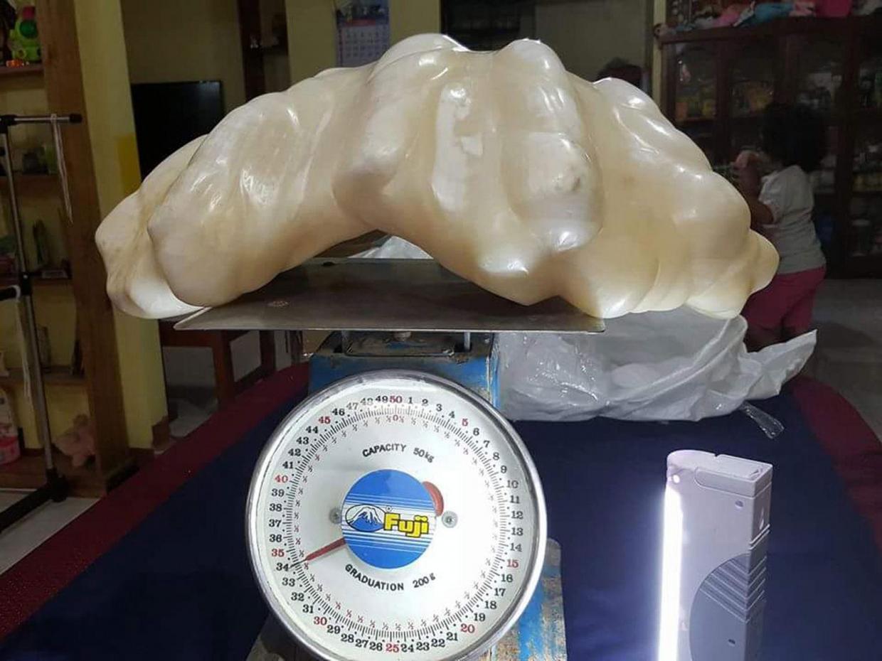 Largest pearl in the world to be exhibited in Philippines