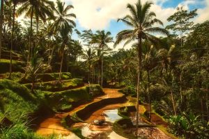 Bali Might Impose A Ban On Mountain Climbing Due To Misbehaving Visitors