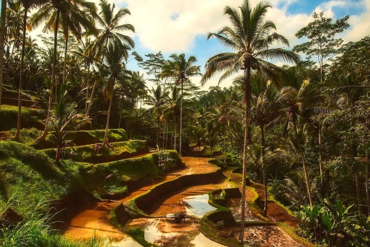 Bali Might Impose A Ban On Mountain Climbing Due To Misbehaving Visitors