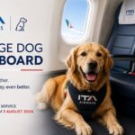 ITA Airways Launches Cabin Service for Large Dogs on Domestic Flights