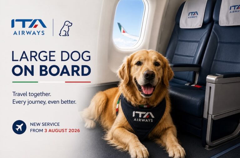ITA Airways Launches Cabin Service for Large Dogs on Domestic Flights