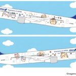 ANA to Launch Special Chiikawa-Themed Boeing 767 on Domestic Flights