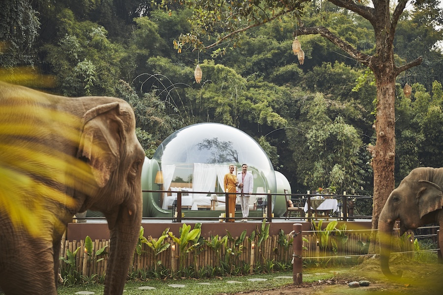 Anantara Celebrates the Veterinarian Helping Rescued Elephants Thrive in Northern Thailand