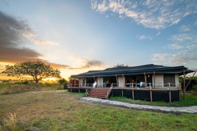 Elewana Collection expands family safari experiences across Kenya and Tanzania