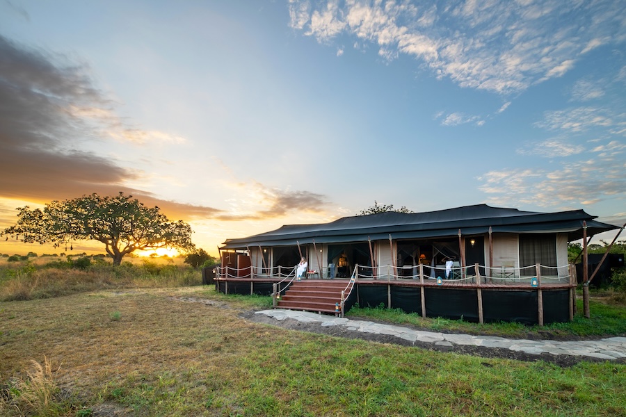 Elewana Collection expands family safari experiences across Kenya and Tanzania