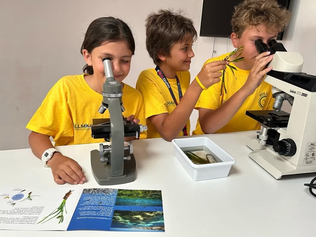 MSC Foundation and Asociación Vellmarí Launch Mediterranean Seagrass Restoration Programme 1 MSC Foundation and Asociación Vellmarí Launch Mediterranean Seagrass Restoration Programme - MSC FOUNDATION AND ASOCIACION VELLMARI LAUNCH SHALLOW BAYS OF THE MEDITERRANEAN A NEW PROGRAMME TO RESTORE POSIDONIA SEAGRASS MEADOWS