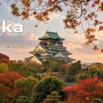 Air India to launch nonstop Delhi–Osaka flights in February 2027