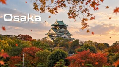 Air India to launch nonstop Delhi–Osaka flights in February 2027